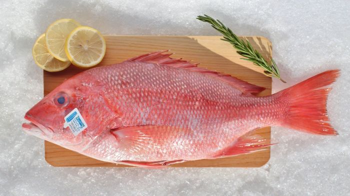 How to cook red snapper caribbean style