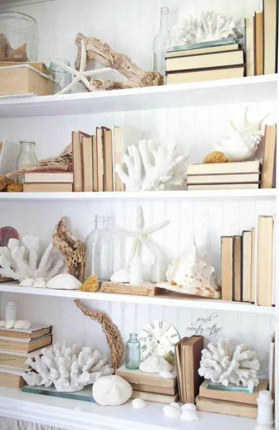 Sea Shell Decor Ideas: Elevate Your Home with Coastal Charm