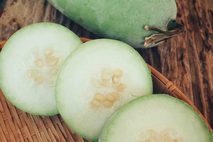 How to cook winter melon chinese style